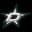 Dallas Stars